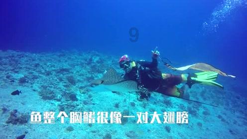 2024第一届“红魔杯”全国青少年 U12足球邀请赛在我市举行